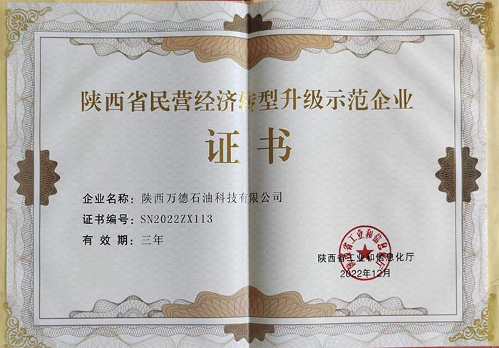 陕西省民营经济转型升级