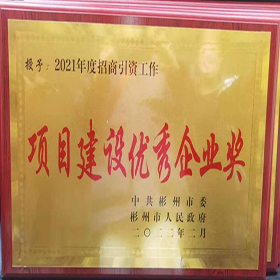 项目建设优秀奖